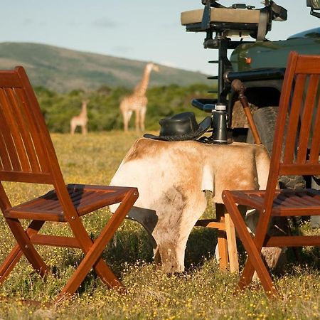 Temba Private Game Reserve Grahamstown Luaran gambar